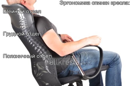 эргономика спинки офисного кресла
