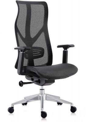 Купить эргономичное кресло G_Viking 21 (Викинг)