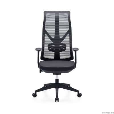 Купить эргономичное кресло G_Viking 11 (Викинг)